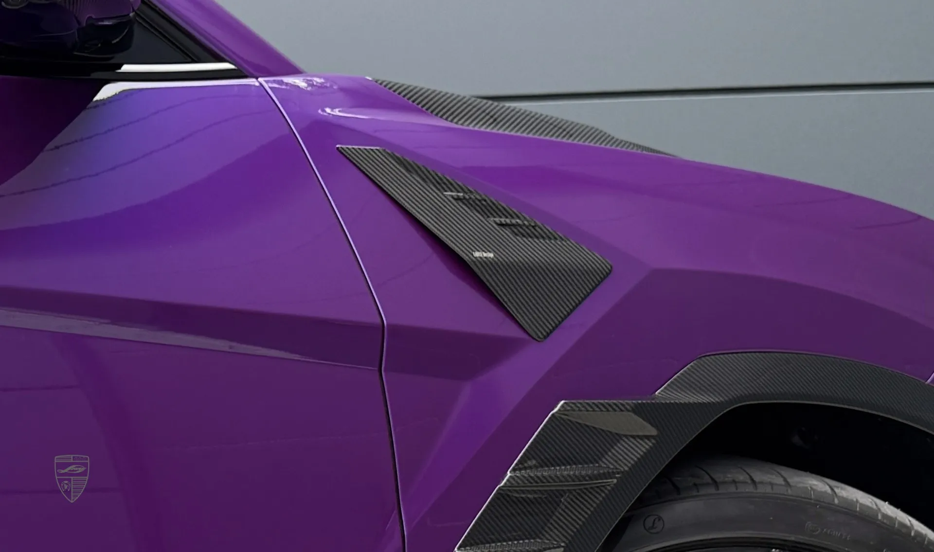 Вставка крыла в карбоне для авто класса люкс URUS SE от LARTE Design